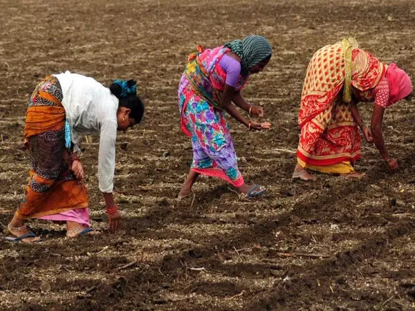 कपास, सोयाबीन की बढ़ती कीमतों के बीच अखिल भारतीय किसान सभा ने किसान सम्मेलन आयोजित किया