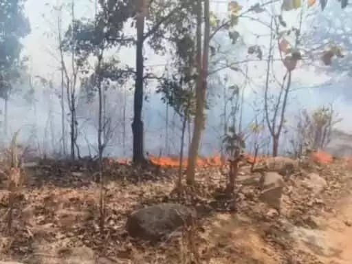 बालको रेंज के जंगल में लगी आग, इलाका हुआ धुआं-धुआं