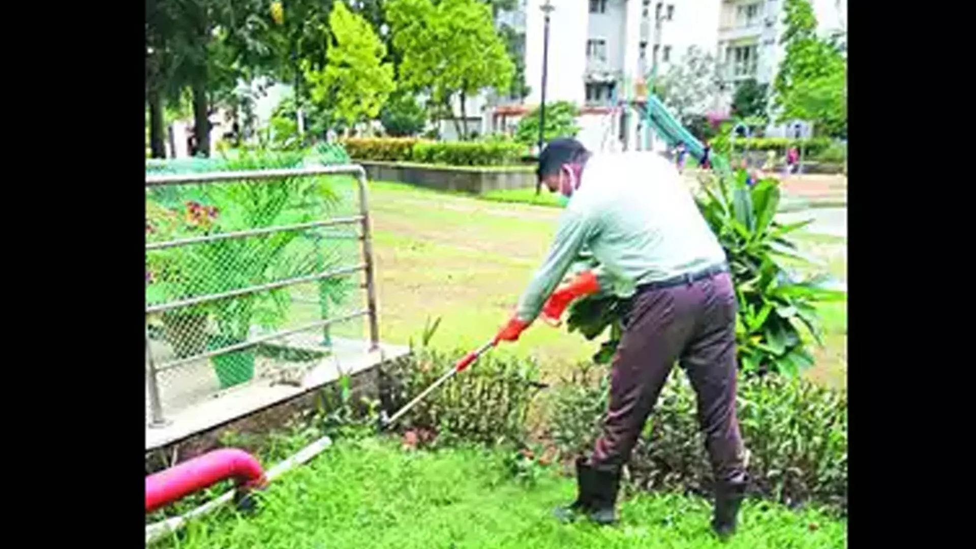 सर्दियाँ ख़त्म , न्यू टाउन  साँप देखे गए, परिसर के निवासी सतर्क