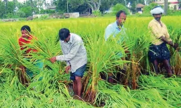 किसान रायथु वेदिकास में वैज्ञानिकों के साथ बातचीत कर सकते