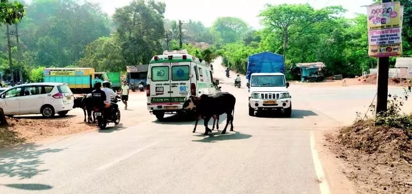 स्थानीय लोगों ने बेथोरा के ब्लैक स्पॉट पर फ्लाईओवर की मांग दोहराई