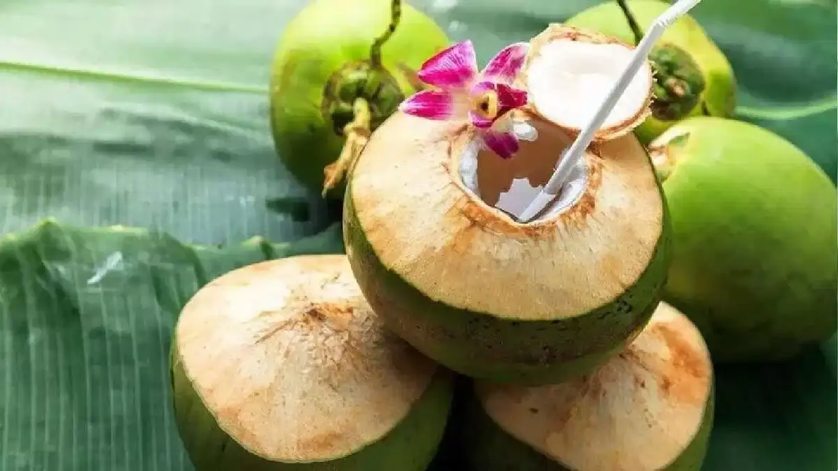 नारियल पानी पीने से शरीर को मिलते हैं अद्भुत फायदे