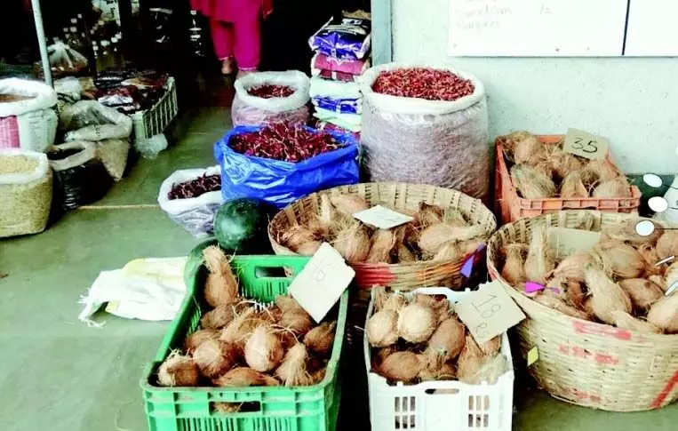 पोंडा की गृहणियां नारियल की बढ़ती कीमतों से परेशान