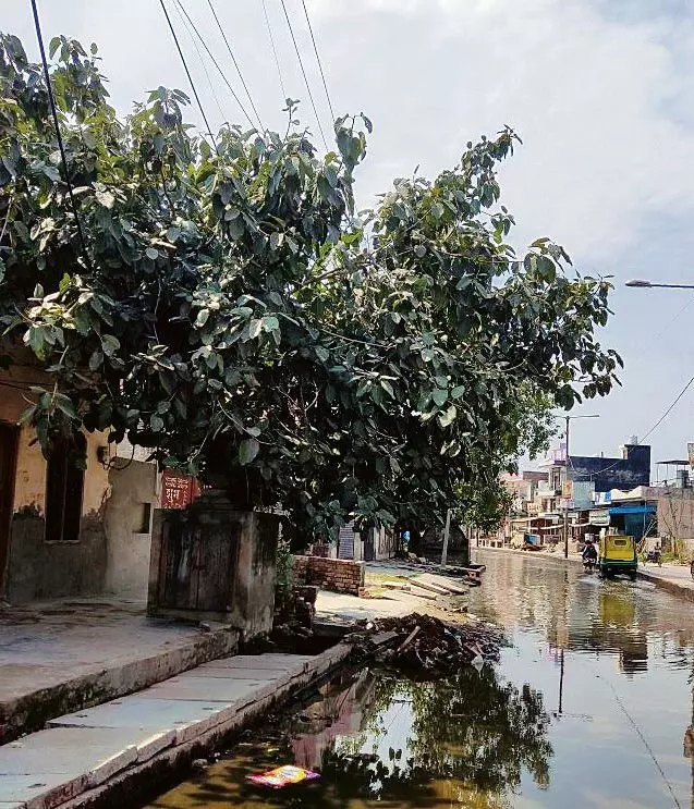 रोहतक-सोनीपत रोड पर गंदा पानी, लोग परेशान