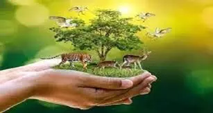 करूणा इंटरनेशनल के तत्वावधान में वन्य जीवों के संरक्षण के लिए लिया अटूट संकल्प