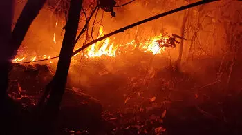सिमडेगा के जंगलों में आग लगने का सिलसिला शुरू हो गया