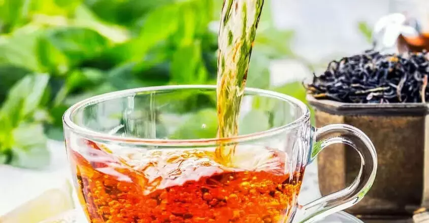 त्रिपुरा नए चाय नीलामी केंद्र के शुभारंभ से चाय व्यापार में सुधार होगा
