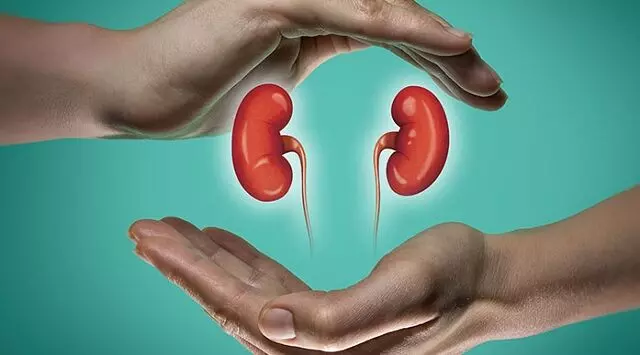 World Kidney Day 2024:  यहां किडनी के स्वास्थ्य के लिए आहार और जीवनशैली संबंधी सुझाव दिए गए