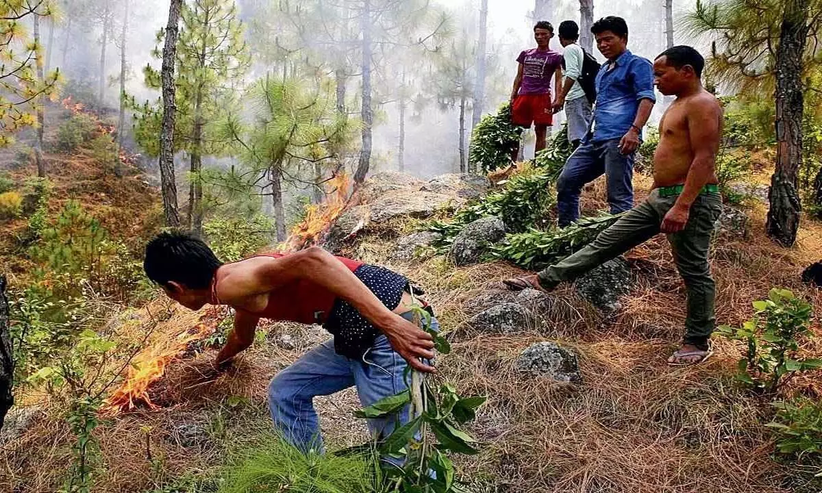 ऊना वन विभाग ने गर्मी से पहले आग से निपटने के लिए उठाए एहतियाती कदम