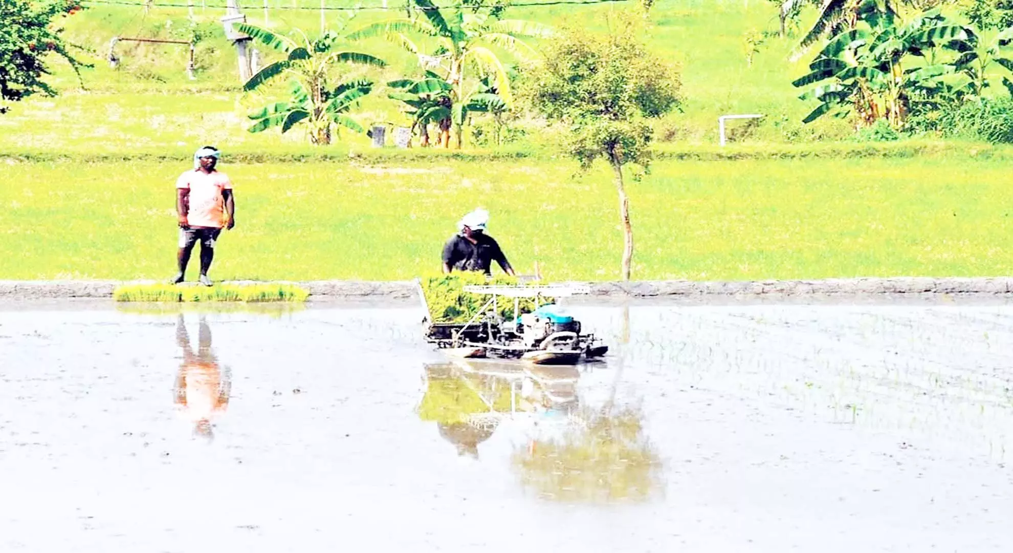 सुल्तानपेट्टई में तालाबों में पीएपी पानी छोड़ें: किसान