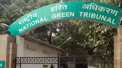 NGT ओडिशा में ब्राह्मणी नदी की जांच करेगा