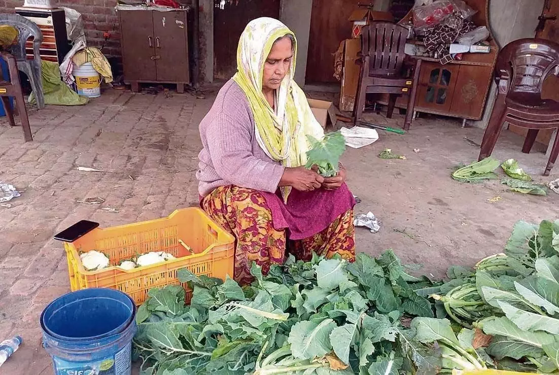 कैंसर ने महिला किसान को जैविक खेती की ओर प्रेरित किया