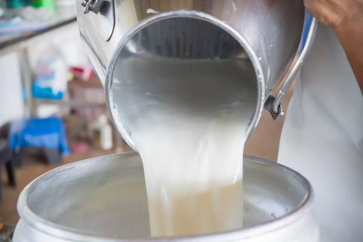 दूध डेयरी फार्म पर लगा 30 हजार जुर्माना, अमानक दूध की हुई जांच