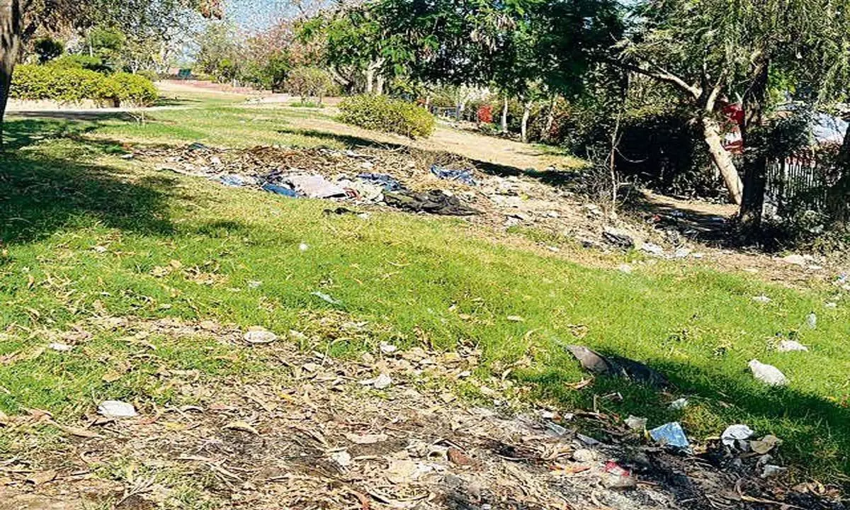 सिरसा नगर निकाय ने रखरखाव के लिए एजेंसियों को 64 पार्कों का आवंटन रद्द कर दिया