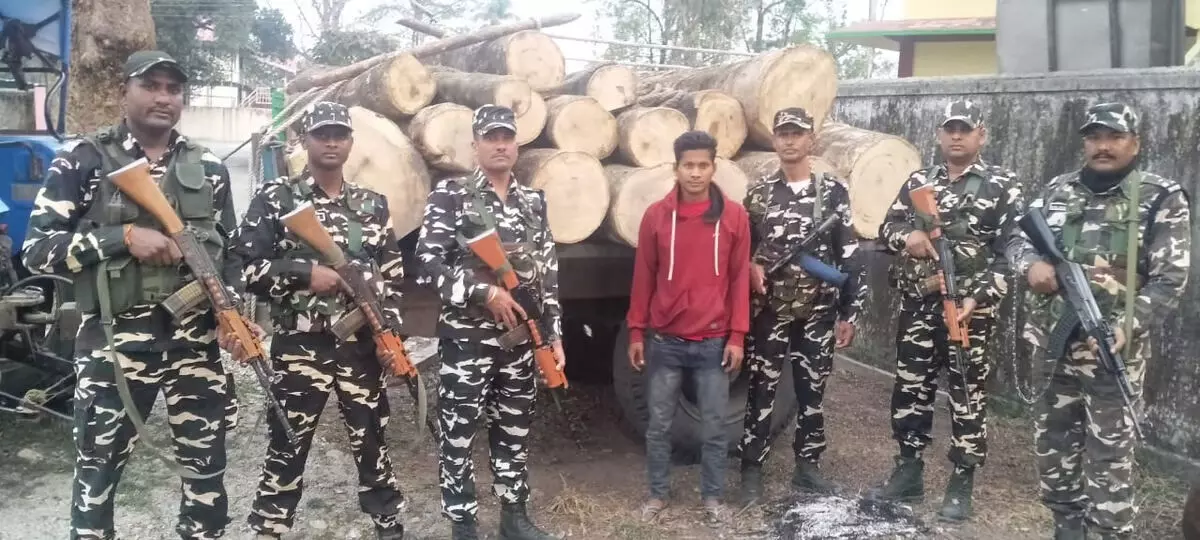 छठी बटालियन एसएसबी ने भारत-भूटान सीमा के पास लकड़ी के लट्ठे जब्त