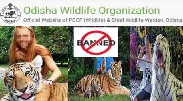 सोशल मीडिया पर जंगली जानवरों के साथ सेल्फी पोस्ट करने पर ओडिशा में भारी जुर्माना लगाया जाएगा