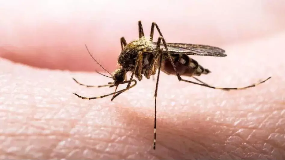 स्वास्थ्य मंत्रालय का कहना है कि राज्य के दूरदराज के इलाकों में मलेरिया से निपटने के प्रयास जारी