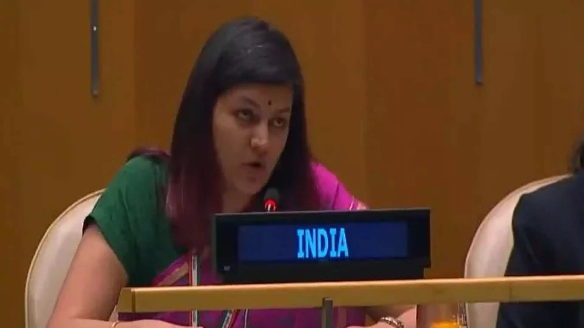 भारत ने यूएनजीए में अयोध्या, सीएए के संदर्भ में पाकिस्तान पर हमला बोला