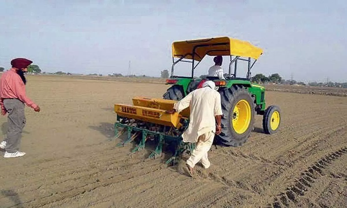 सीधी बुआई वाला चावल टिकाऊ खेती की कुंजी: विशेषज्ञ
