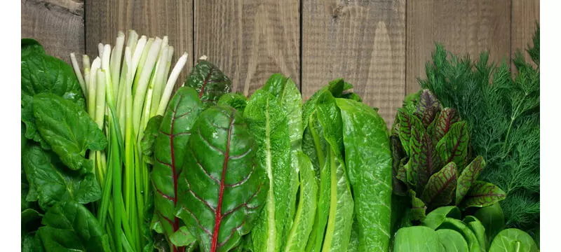 इन 5 शक्तिशाली हरे पत्तेदार सब्जियों को करें अपने आहार में शामिल, बीमारियां रहेंगी कोसों दूर