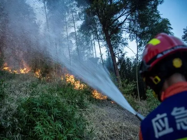 सिचुआन में जंगल की आग से जूझ रहे बचावकर्मियों के बीच चीन ने लेवल-IV आपातकाल सक्रिय कर दिया