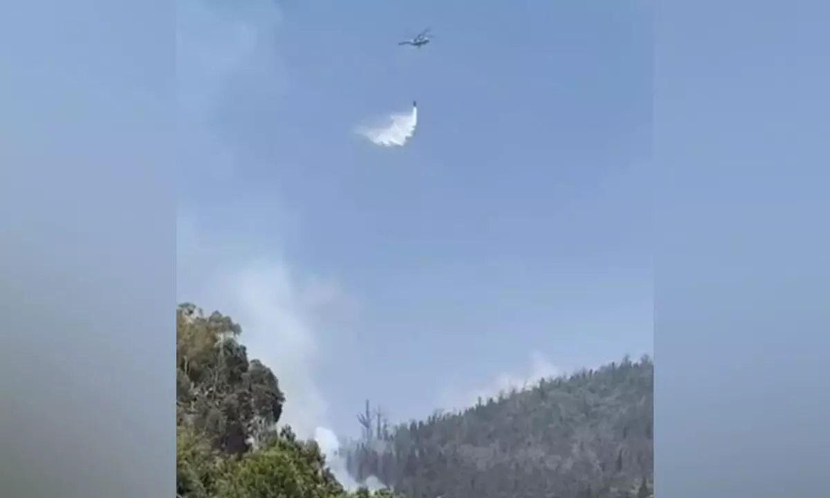 नीलगिरी के जंगल की आग बुझाने के लिए वायुसेना का हेलिकॉप्टर तैनात