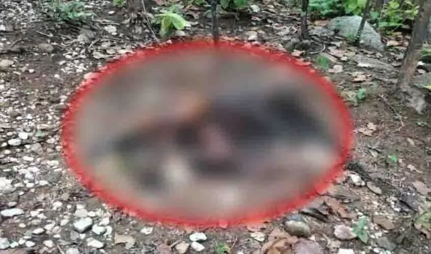 जंगल में मिली युवती की सड़ी-गली लाश, इलाके में फैली सनसनी