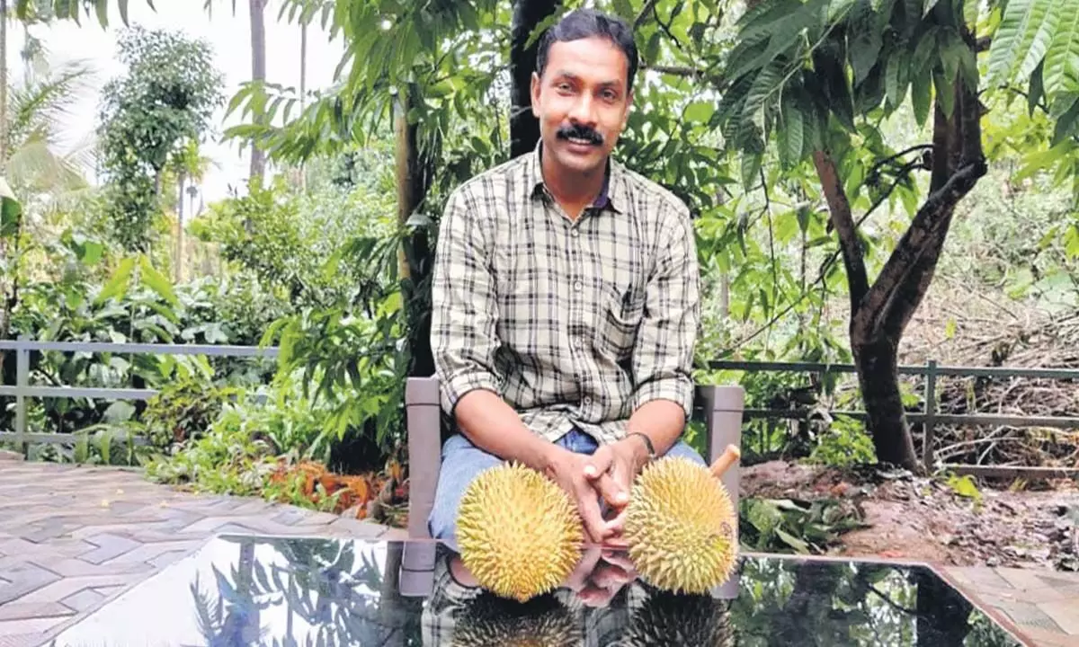 वायनाड का पुलिसकर्मी वैश्विक विदेशी फलों की खेती करता है, जैविक खेती में अग्रणी