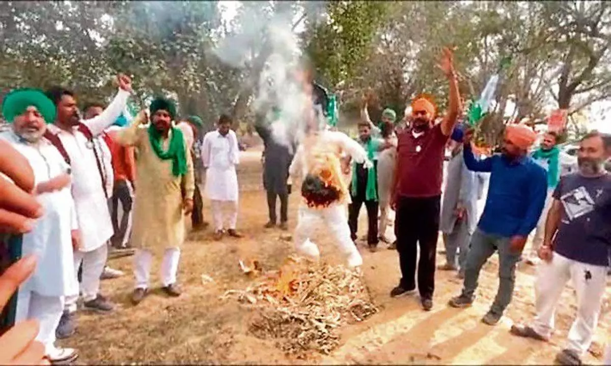 किसानों ने आप बल्लुआना विधायक अमनदीप सिंह गोल्डी मुसाफिर का पुतला जलाया