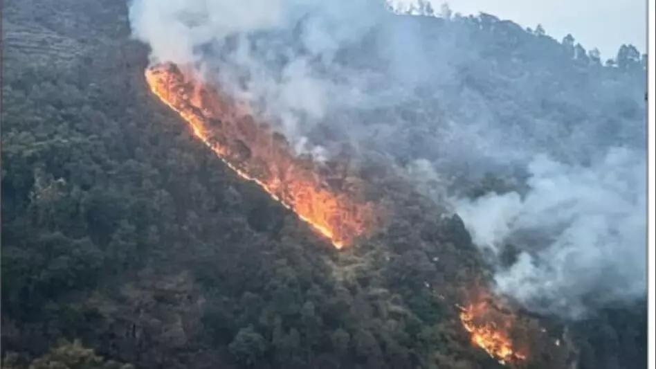 सिक्किम जंगल की आग से रिम्बी और टिंगलिंग समुदायों को खतरा