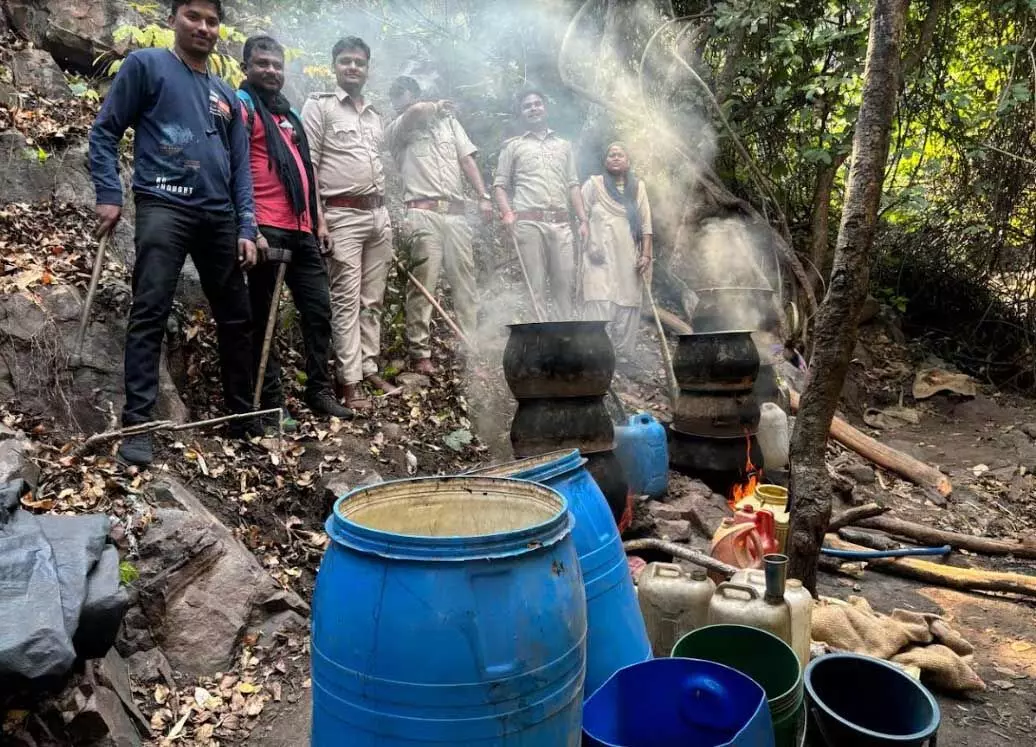 जंगल में महुआ शराब की भट्ठी का हुआ भंडाफोड़, आबकारी विभाग ने मारी रेड