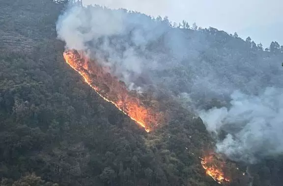 पश्चिम सिक्किम में बड़े पैमाने पर जंगल की आग
