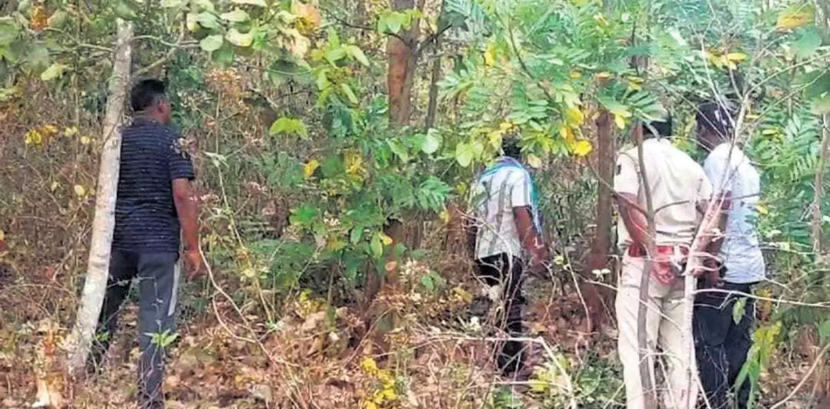 लापता लड़की जंगल में मृत पाई, पिता ने हत्या का आरोप लगाया