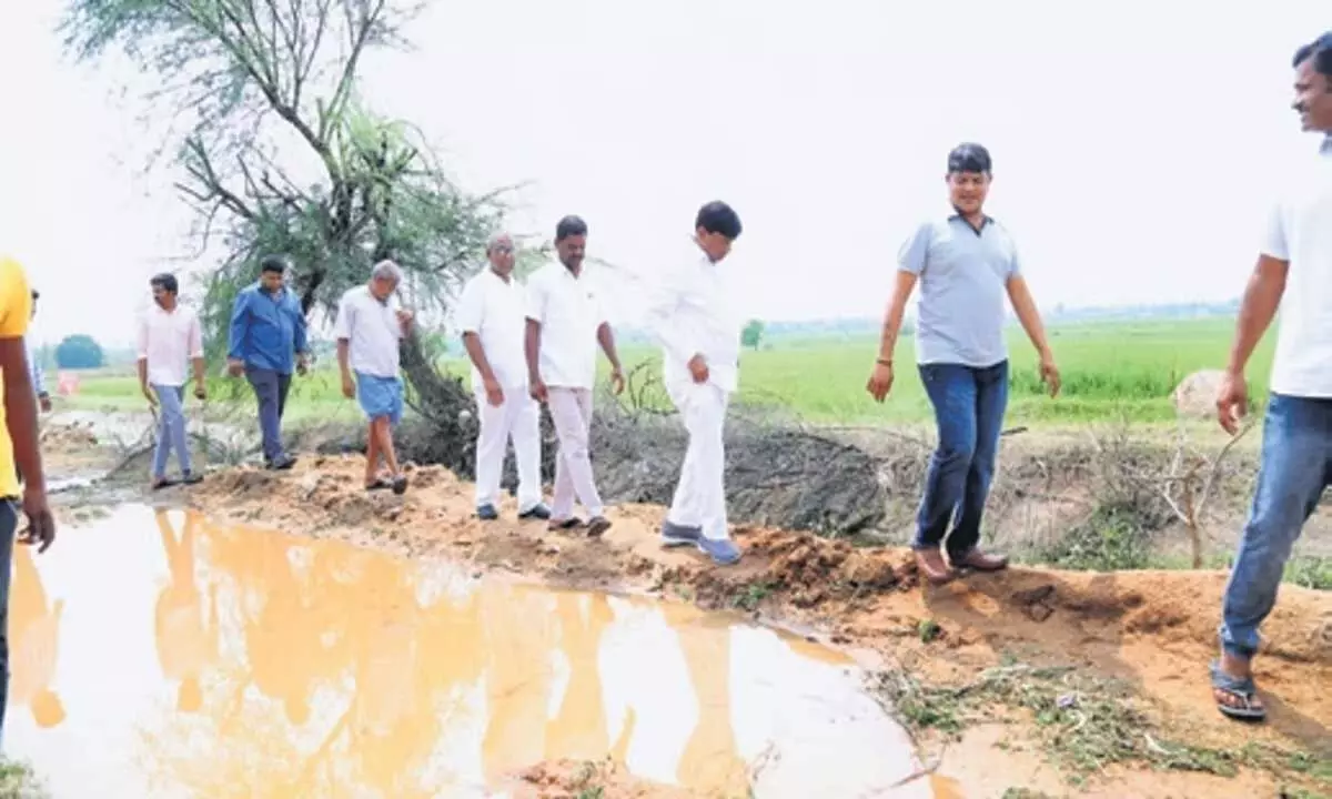 सांसद विनोद ने तेलंगाना के सिरसिला में क्षतिग्रस्त धान के खेतों का निरीक्षण किया