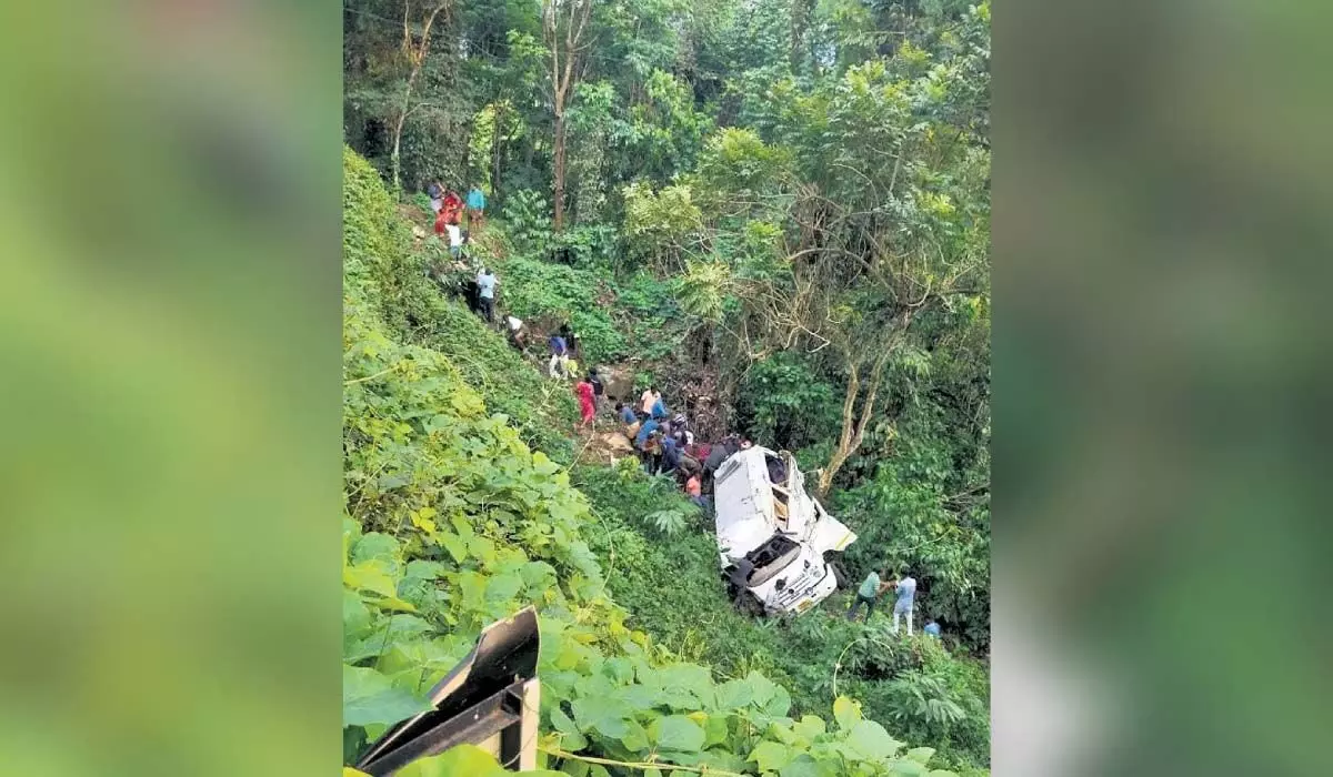 टीएन पर्यटक वैन के खाई में गिरने से चार की मौत, 11 घायल