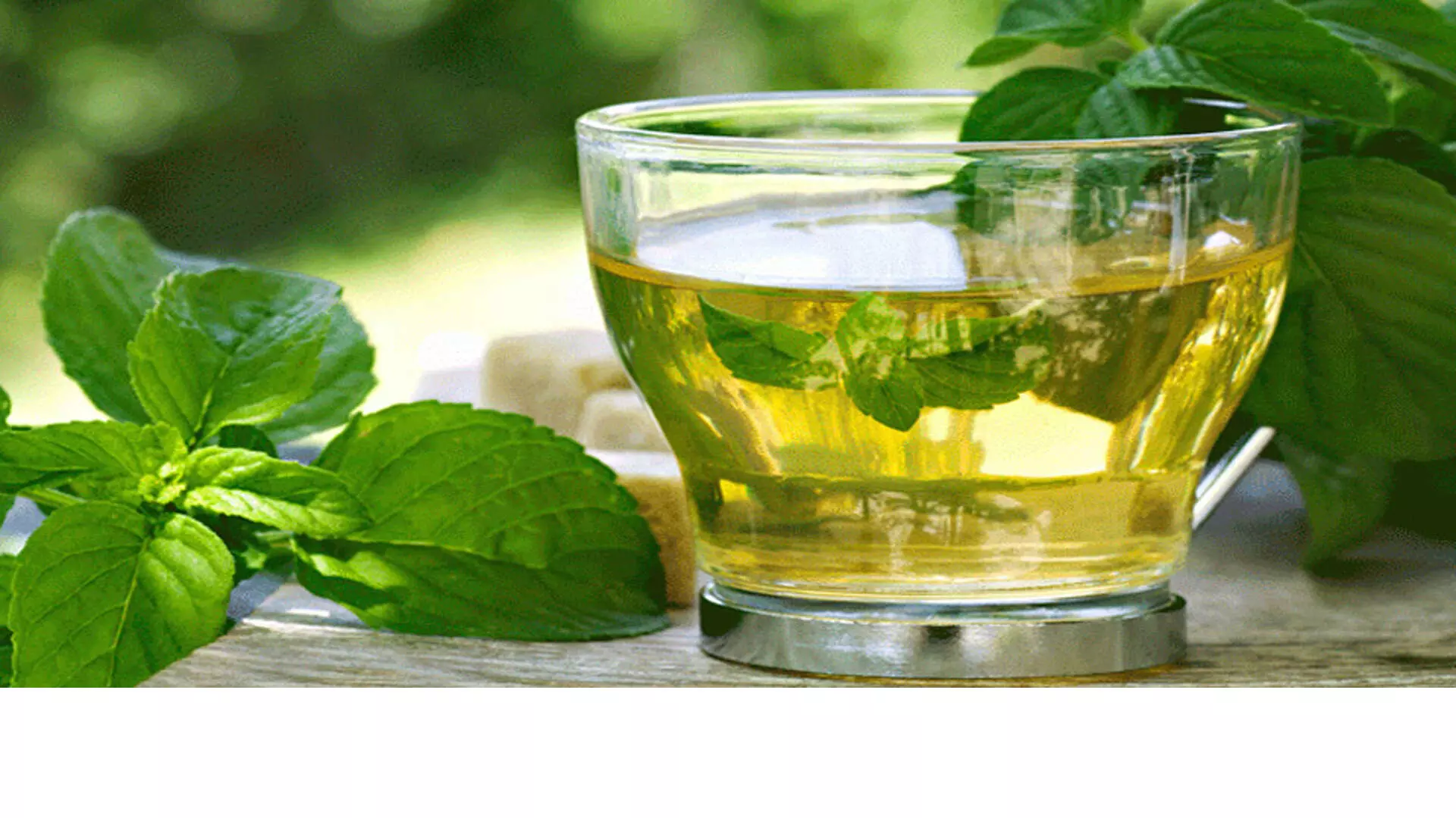 हर्बल चाय की चुस्की आपको तरोताजा कर देगी, आसान तरीकों से घर पर बनाएं