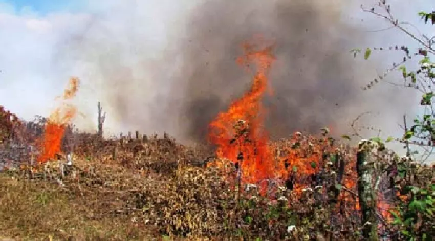 मिजोरम झूम भूमि जलाते समय 25 वर्षीय युवक की मौत