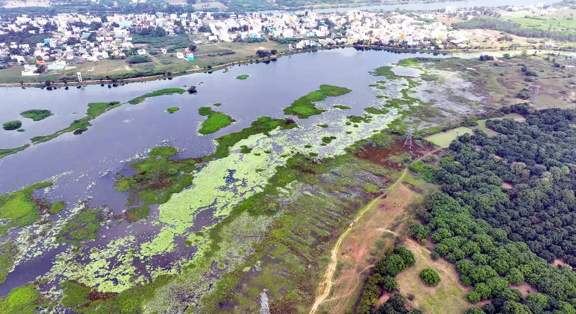 निवासियों का कहना है कि डीएमके के लोगों ने तिरुवल्लूर में वेंगथुर झील के जीर्णोद्धार का काम रोक दिया