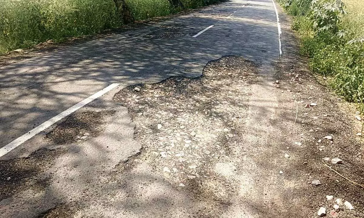 महेंद्रगढ़-बुचौली सड़क निर्माण के महीनों बाद खराब हो गई