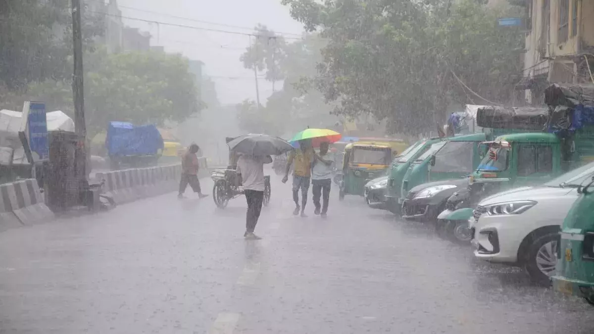 पंजाब के कई जिलों में जारी हुआ बारिश का अलर्ट
