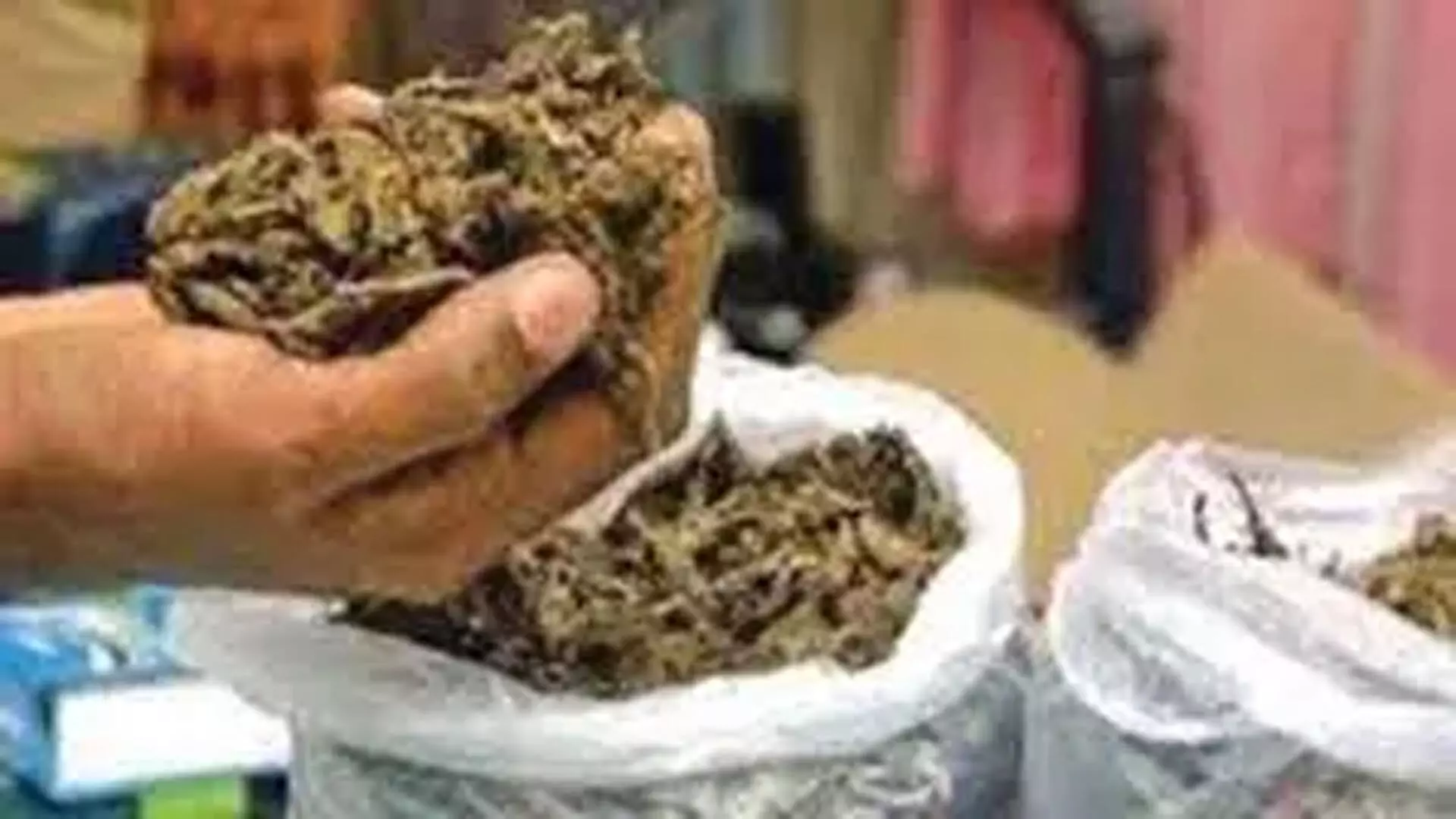 रेलवे स्टेशन पर नशीली दवाओं का भंडाफोड़, 10 किलो गांजा जब्त