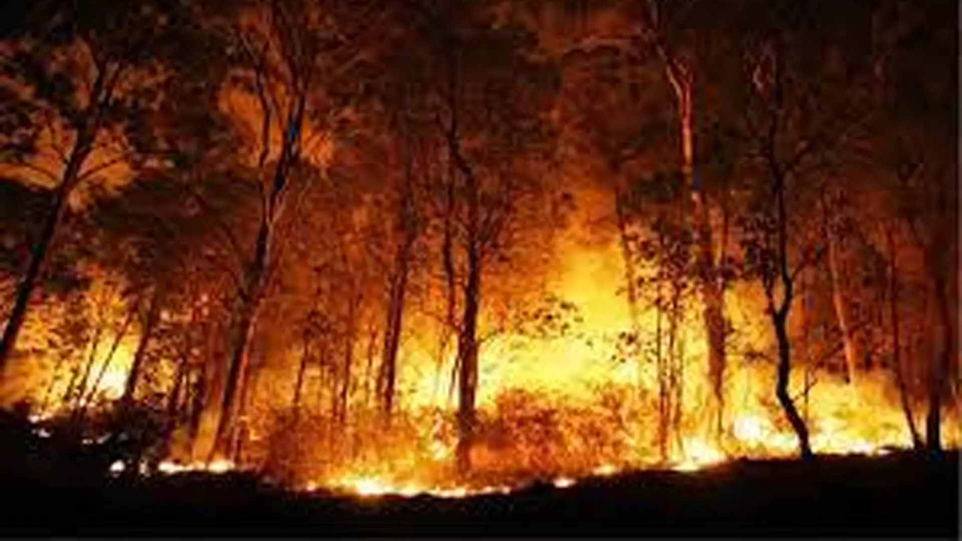आईआईएससी , टीम जंगल की आग ,अन्य आपदाओं से निपटने  की तलाश