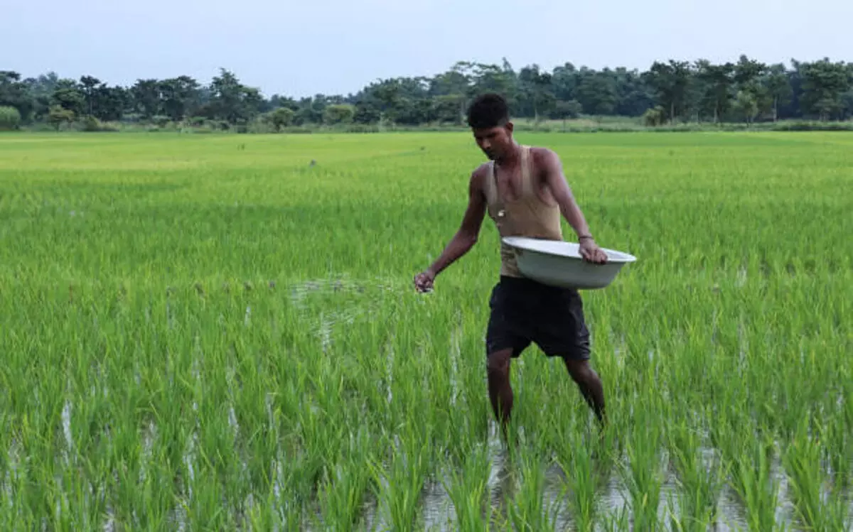 असम कृषि विश्वविद्यालय नागांव ने कृषि में मौसम पूर्वानुमान की उपयोगिता पर जागरूकता का आयोजन