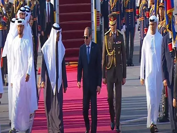 यूएई के राष्ट्रपति मिस्र यात्रा की शुरुआत में काहिरा पहुंचे