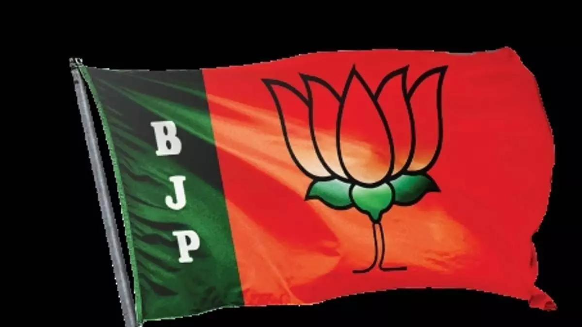 बीजेपी ने राजनीतिक कलंक भुलाया, इस चुनाव में बड़े सपने देखे