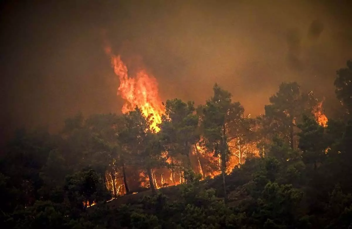 2030 तक ओडिशा में जंगल की आग गंभीर रूप से बढ़ जाएगी