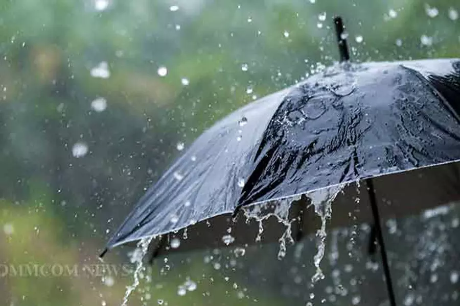 आईएमडी ने  ओडिशा के कई जिलों में हल्की बारिश की भविष्यवाणी की