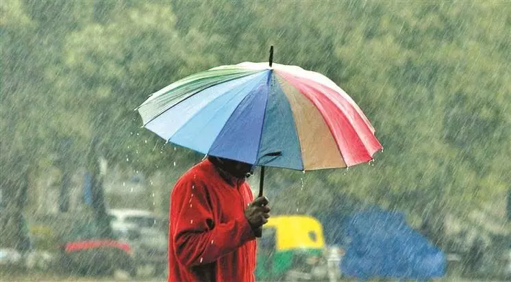 मौसम विभाग का पूर्वानुमान, पंजाब में 29 मार्च तक बारिश