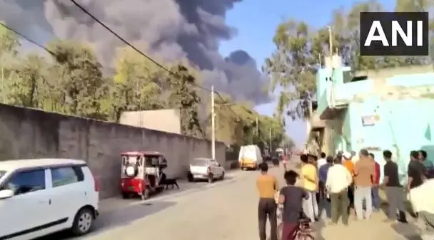 अलीपुर में फैक्ट्री में लगी भीषण आग, वीडियो