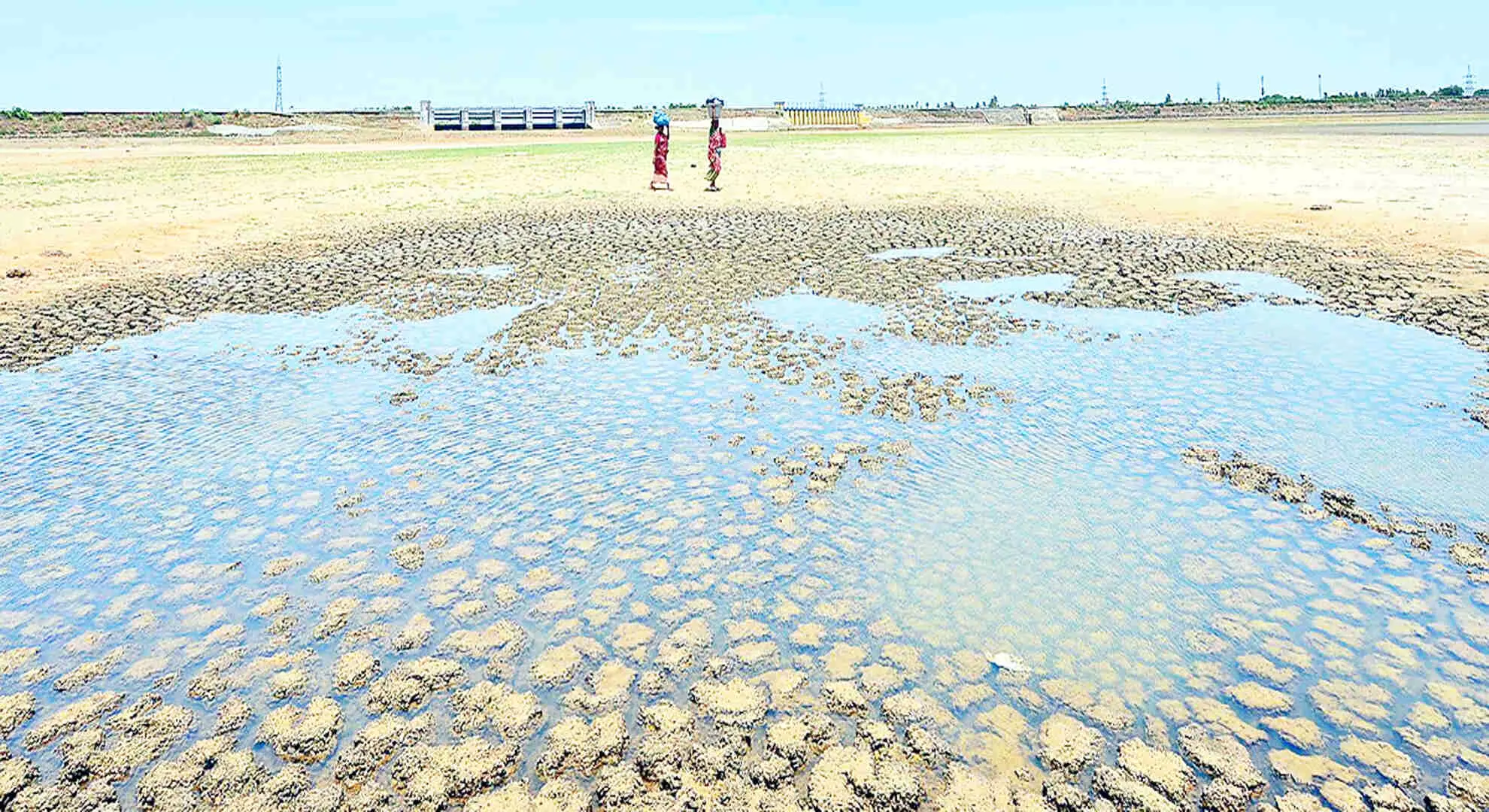 तमिलनाडु: धर्मपुरी में झीलें, टैंक सूख गए; अनियमित जल आपूर्ति से समस्याएँ बढ़ती हैं